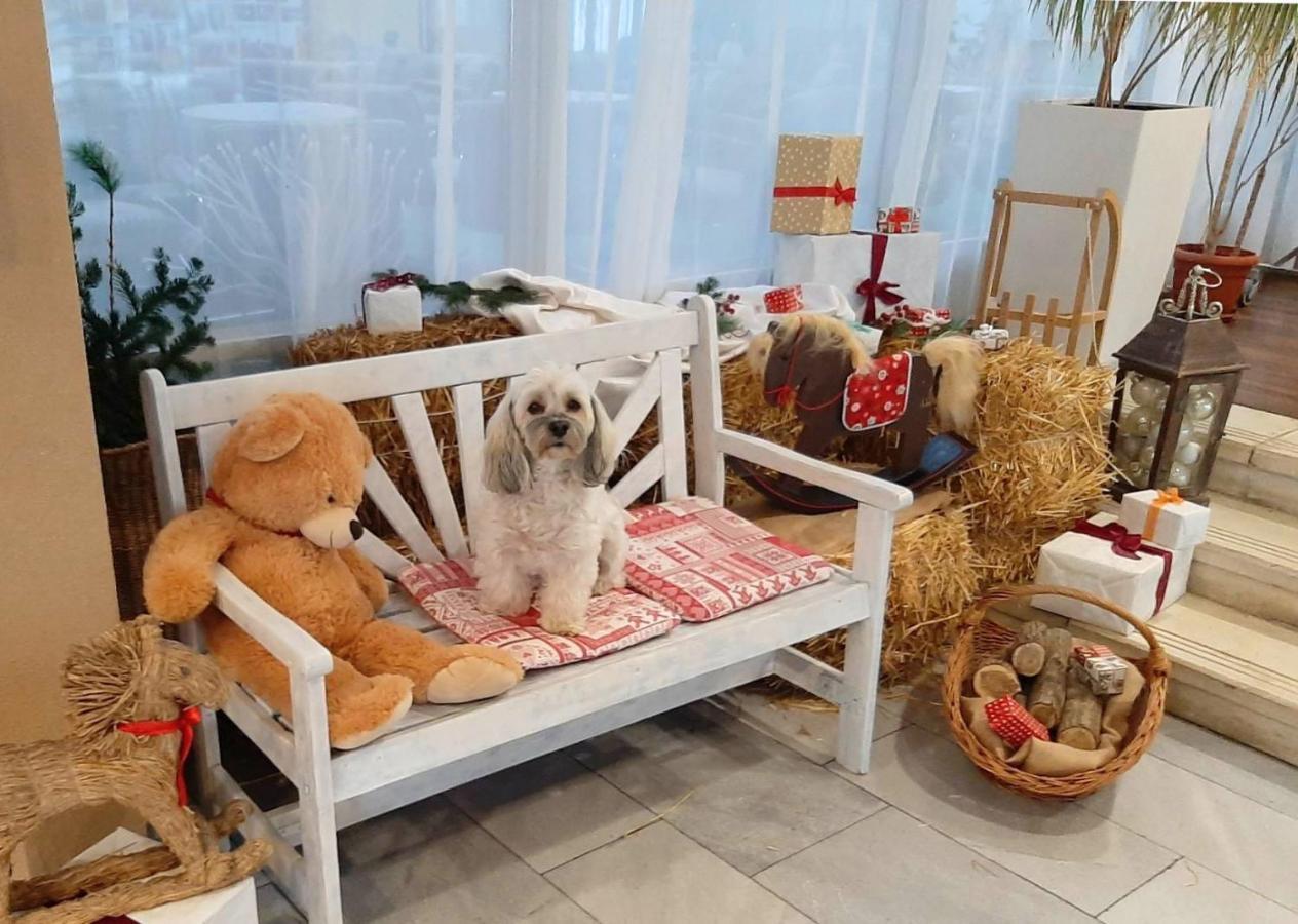 Hotel Szieszta Sopron Bagian luar foto