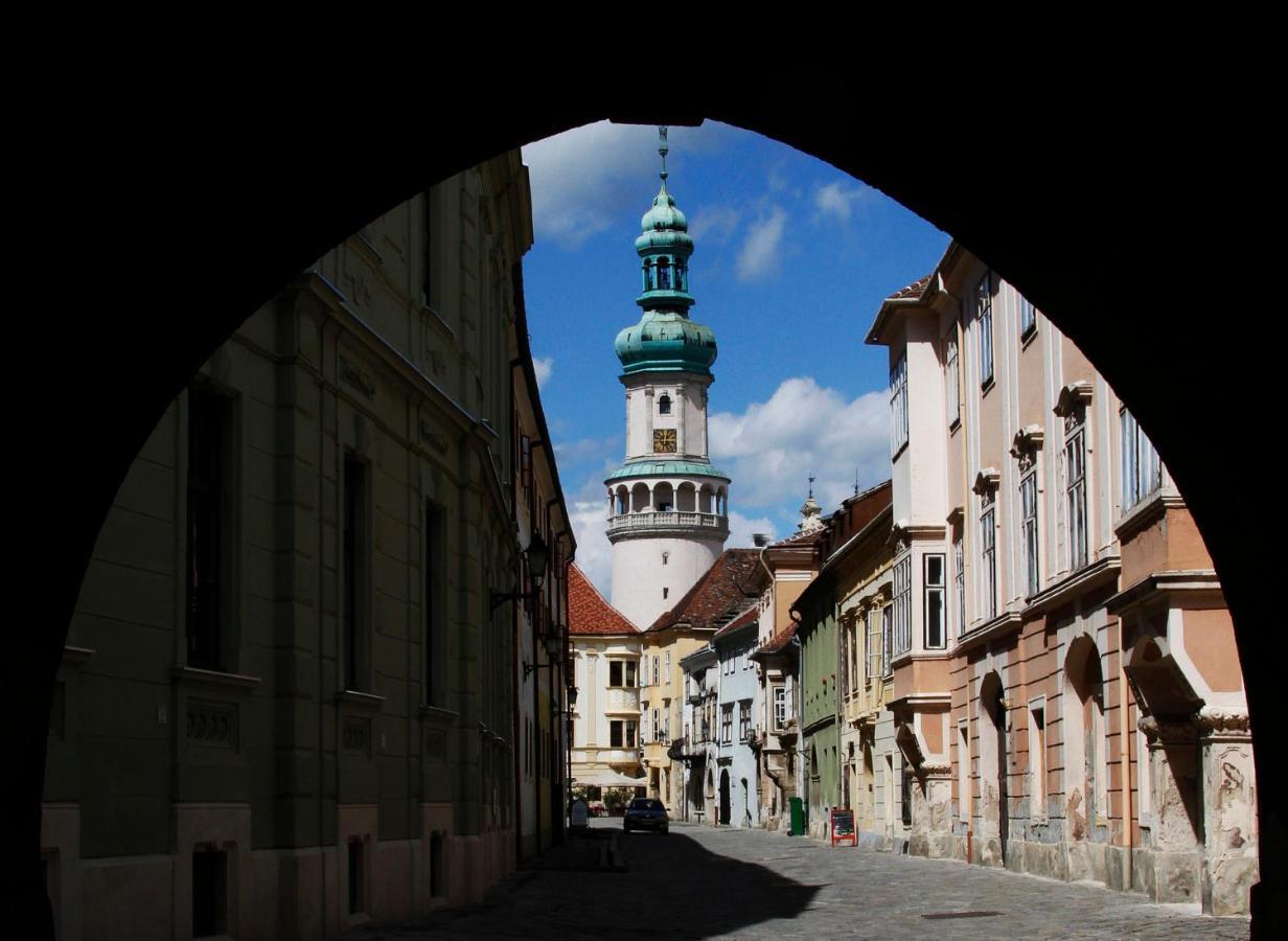 Hotel Szieszta Sopron Bagian luar foto