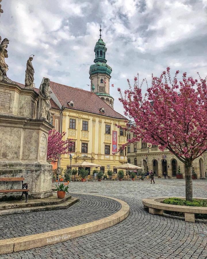 Hotel Szieszta Sopron Bagian luar foto